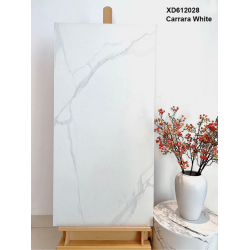 Exterior Wall Tile Series - Carrara White Style Tiles