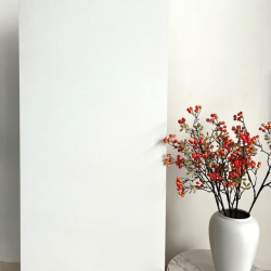 Exterior Wall Tile Series - Pure White Style Tiles