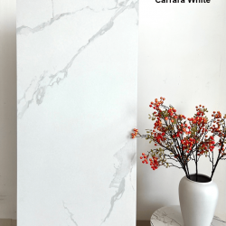 Exterior Wall Tile Series - Micro Soft Carrara White Style Tiles
