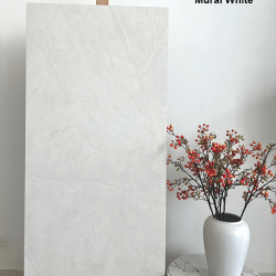 Exterior Wall Tile Series - Soft Light Wall Painting White Style Tile